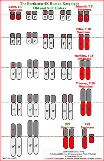 Table of Chromosomes, Genes and Related Diseases