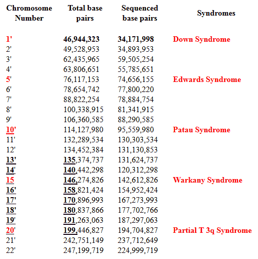 Chromosome Number