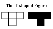 shaped fugyre T